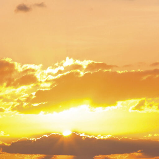 Eddie En Paragnosten